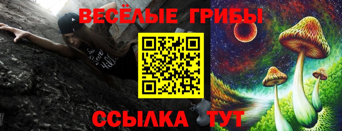 Псилоцибиновые грибы прущие грибы  Вход с VPN  Черняховск 